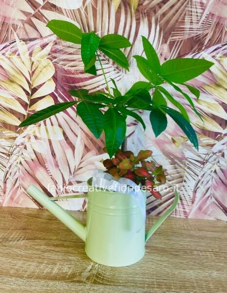 Composizione tropicale in annaffiatoio verde pastello – Freschezza creativa 🌿💧