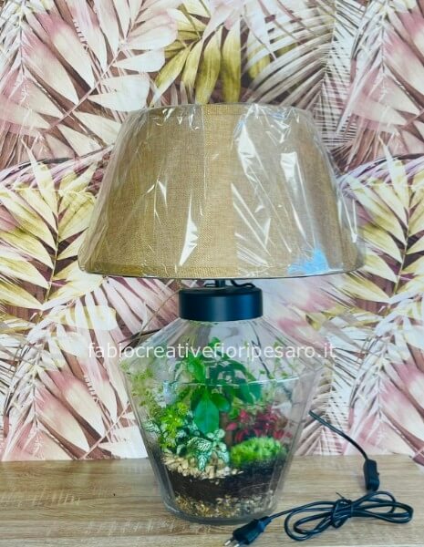 Terrarium in lampada di vetro – Un piccolo mondo verde sotto vetro 💡🌿