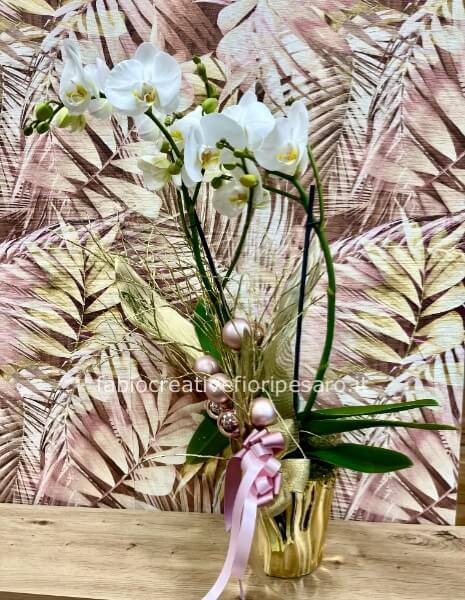 Orchidea Phalaenopsis bianca decorata – Raffinatezza luminosa in versione festiva ✨🤍